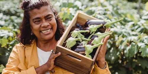 Regenerative Farming