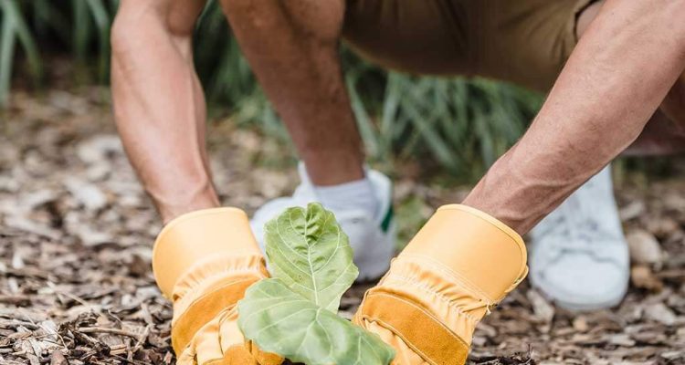 sustainability trends
