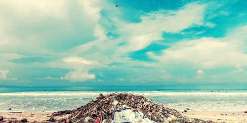 are you wishcycling?