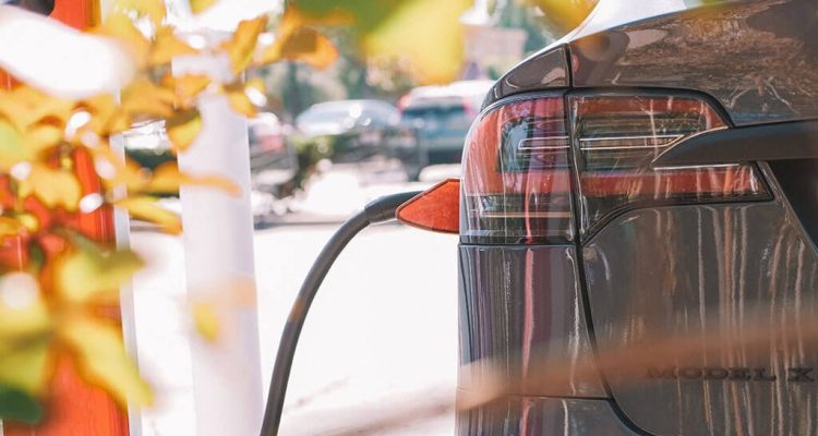 petrol and diesel cars