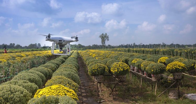 Is technology the answer to food vulnerability