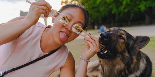 vitamins and minerals in vegan diet