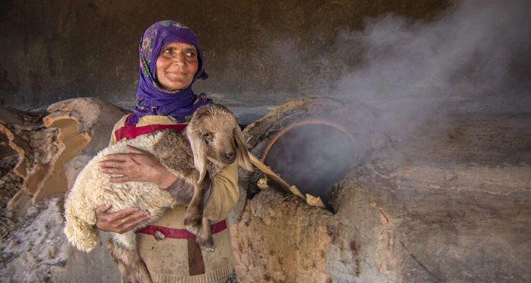 agricultural practices