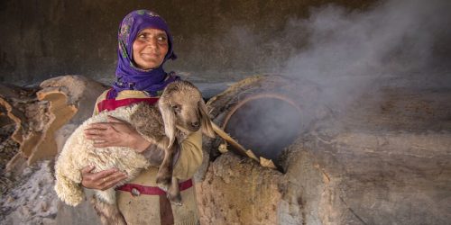 agricultural practices