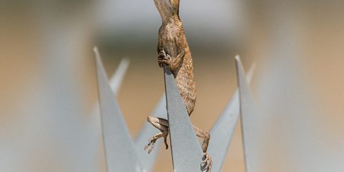 Invest in sustainability