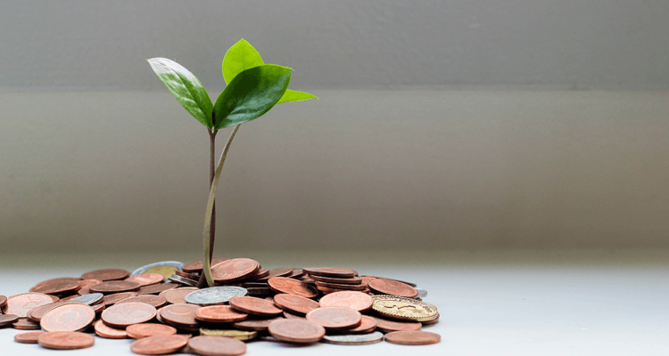 Going green on a budget