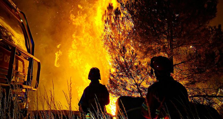 climate change and environmental effects 2025