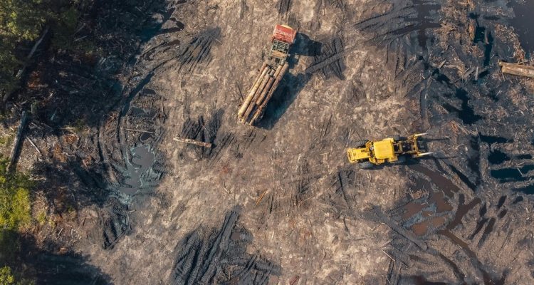 Scope 3 carbon risk
