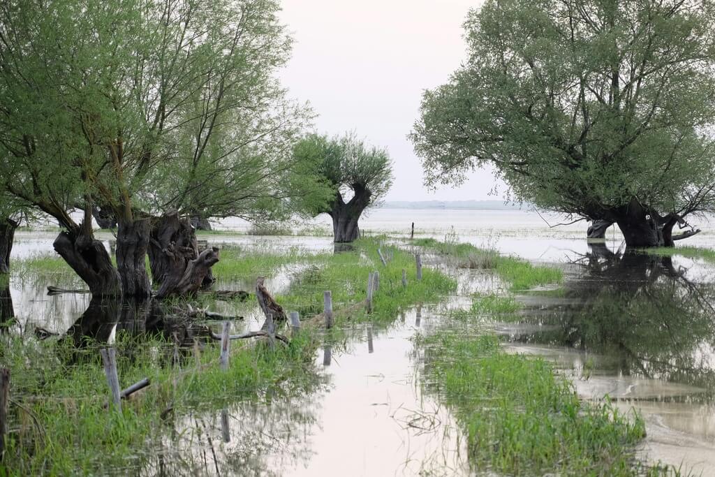 UK rivers post-Brexit