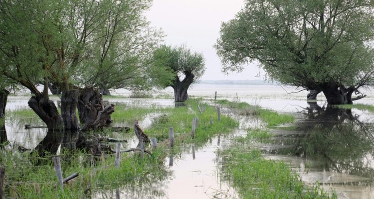 UK rivers post-Brexit