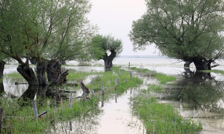 UK rivers post-Brexit