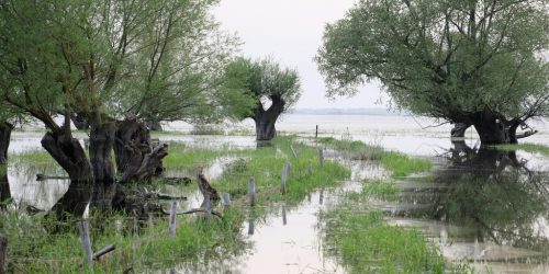 UK rivers post-Brexit